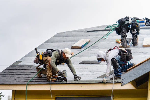 Professional Gutter Installation technician working in Millry, AL